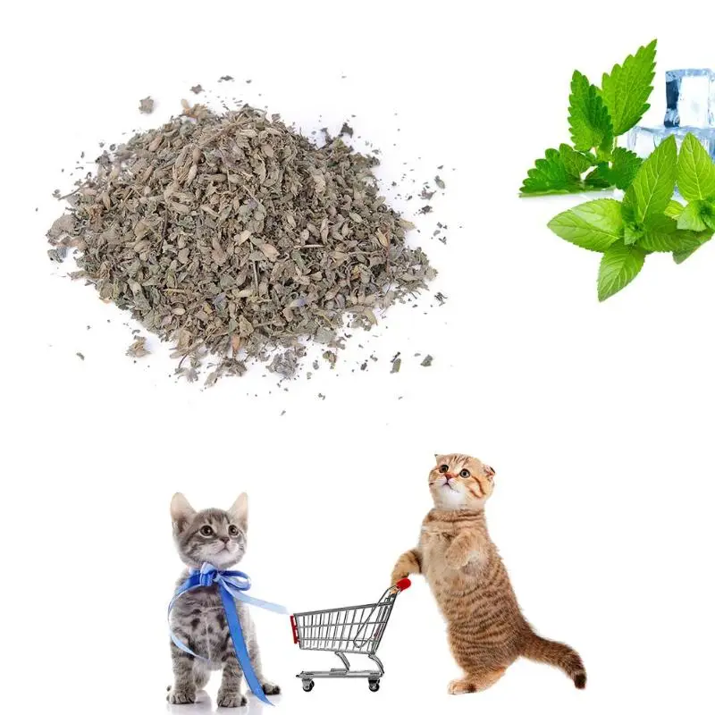100 Natural Organic Premium Catnip 1 Box 40ml Cat Mint Pet Training