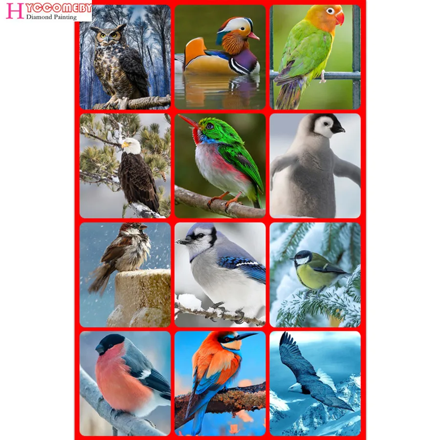 5D diy full Square Diamond Painting animal bird parrot pigeon Flamingo Cross Stitch cartoon Home Decorative Crafts | Дом и сад