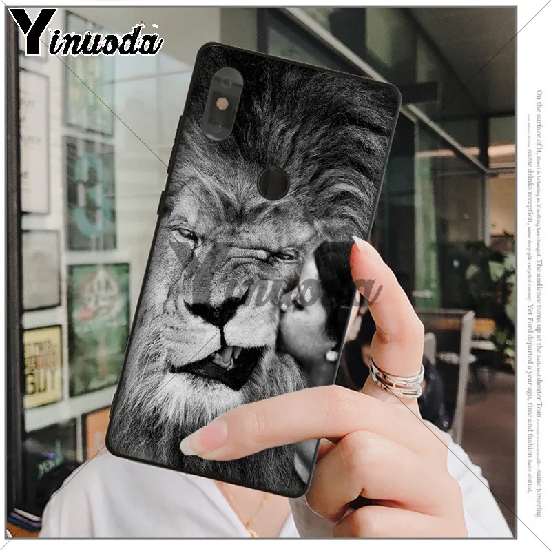 Animals The lion