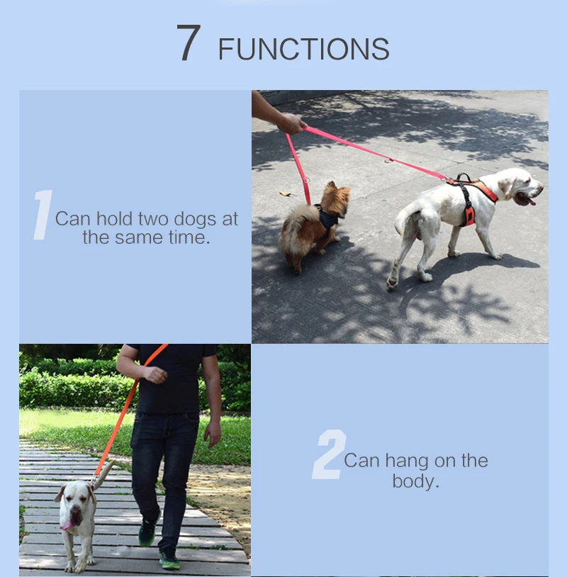 6 dog leash and harness 