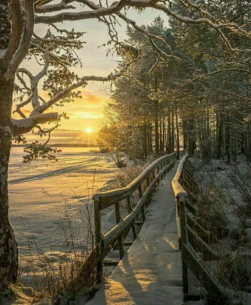 UT8AummX8hXXXagOFbXY_3