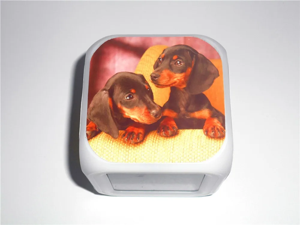 Dachshund Led Alarm Clock 6