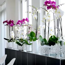 1 шт./лот, модная Орхидея, искусственные цветы, сделай сам, искусственная Орхидея, Бабочка, Шелковый букет цветов, фаленопсис, свадебный Декор для дома