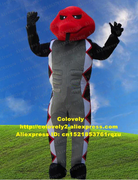 zz6389.2