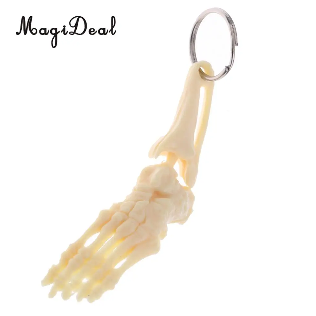 MagiDeal Human-skeleton Foot and Ankle Joint Model Key Chain Key Ring Children Kids Novelty Gift 12cm