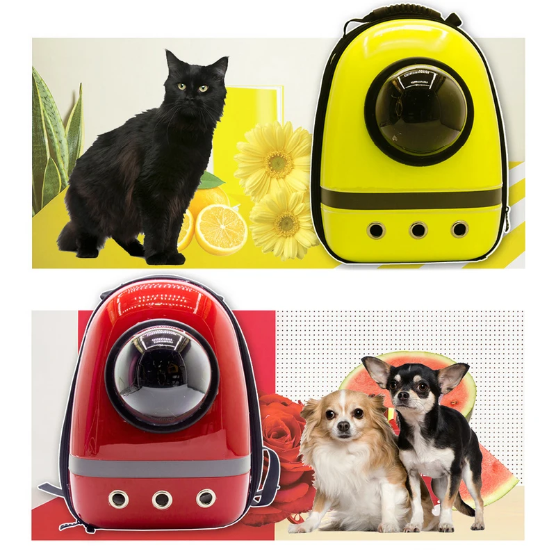 HTB1OLjDQVXXXXb8aXXXq6xXFXXXB