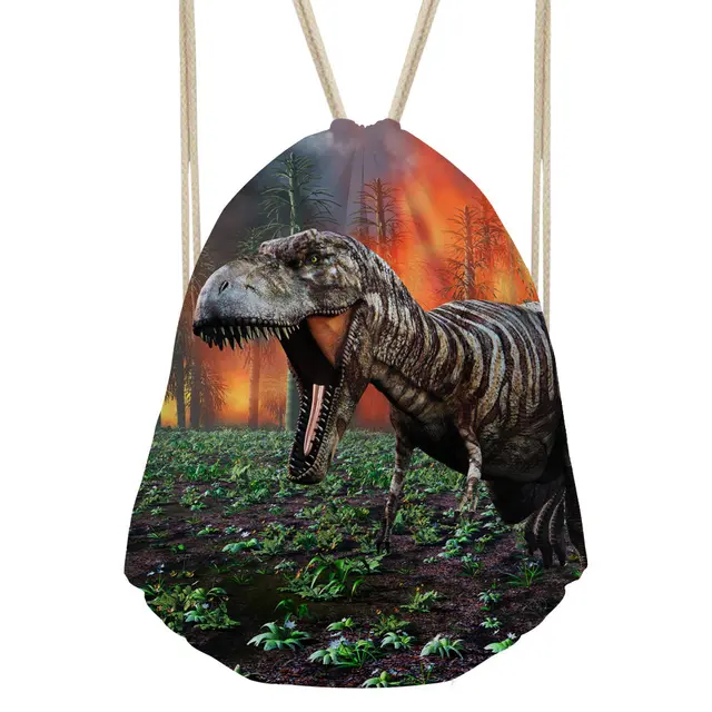 dinosaur bag amazon