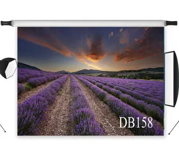 

Seamless Purple Lavender Flowers Wedding Washable No Crease Polyester Backdrop Background Photography Studio Props Photographic