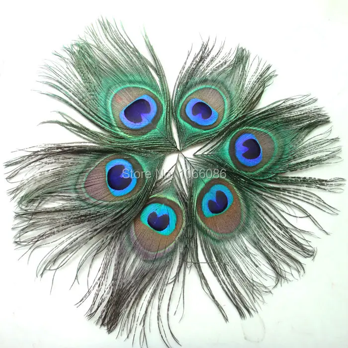 

FREE SHIPPING! 2000pcs/lot Beautiful Peacock feathers for craft Peacock Feather Eyes feather accessories