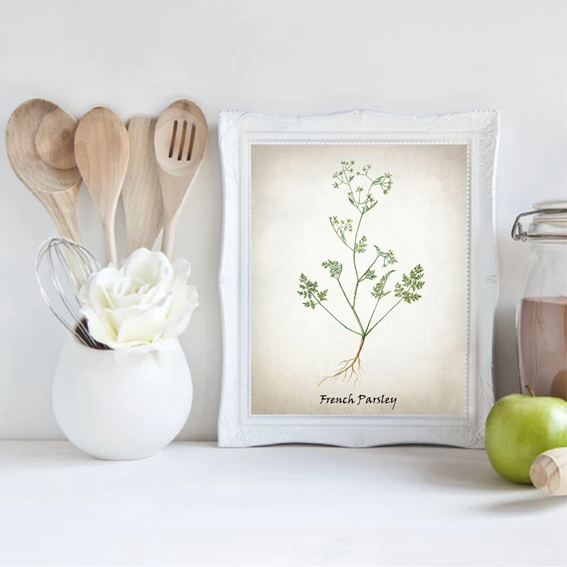 Herb Poster Kitchen Decor
