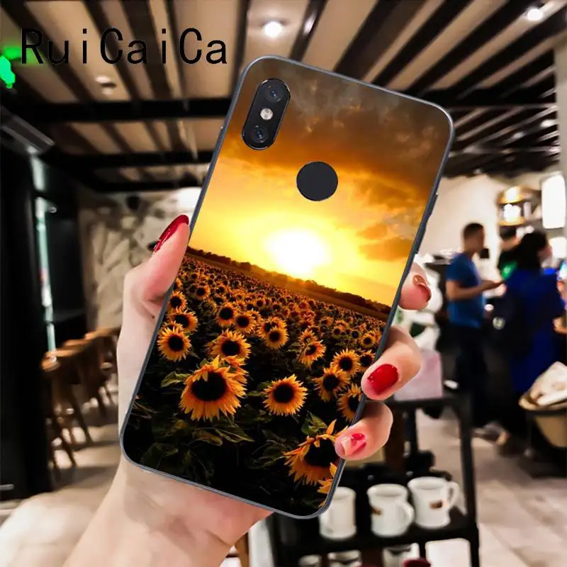 Sunflower Peony Flower