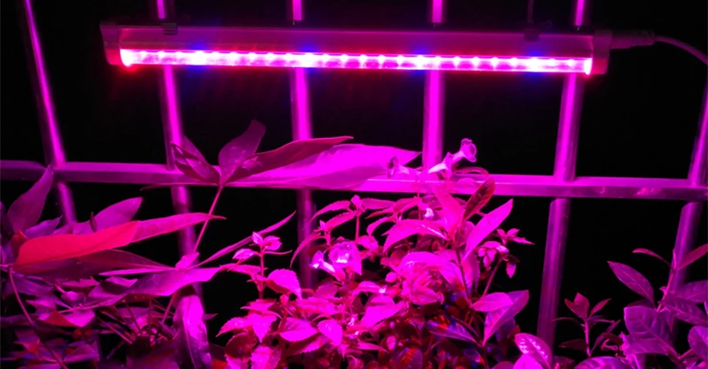 LED Grow (1)
