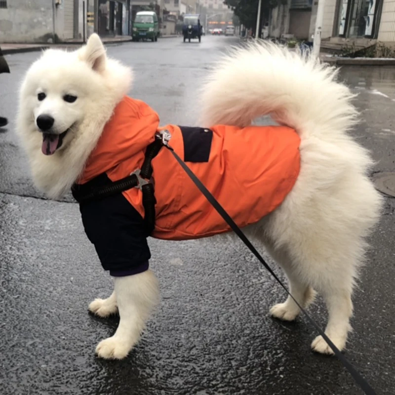

OnnPnnQ Dog Winter Clothes Waterproof Warm For Small Large Dog Windproof Pet Hooded Coat Outfit Big Dogs Padded Jacket Labrador