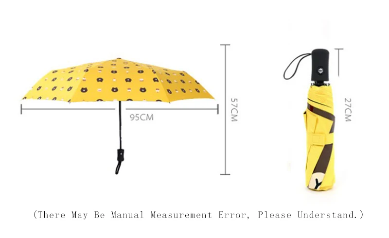 Transparent Umbrella (11)