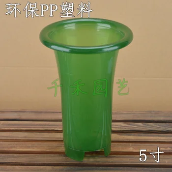 

Cymbidium orchids dedicated bottom pots plastic pots with holes