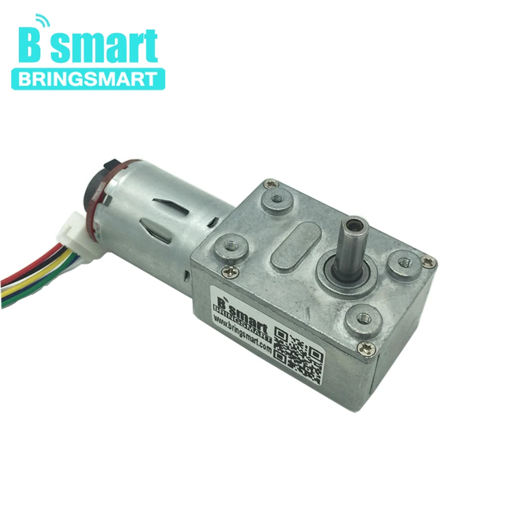 

Bringsmart JGY-370B DC Worm Gear Motor with Encoder Disk 12V High Torque Low Speed Mini Gearbox Hall Encoding Board DC Motor