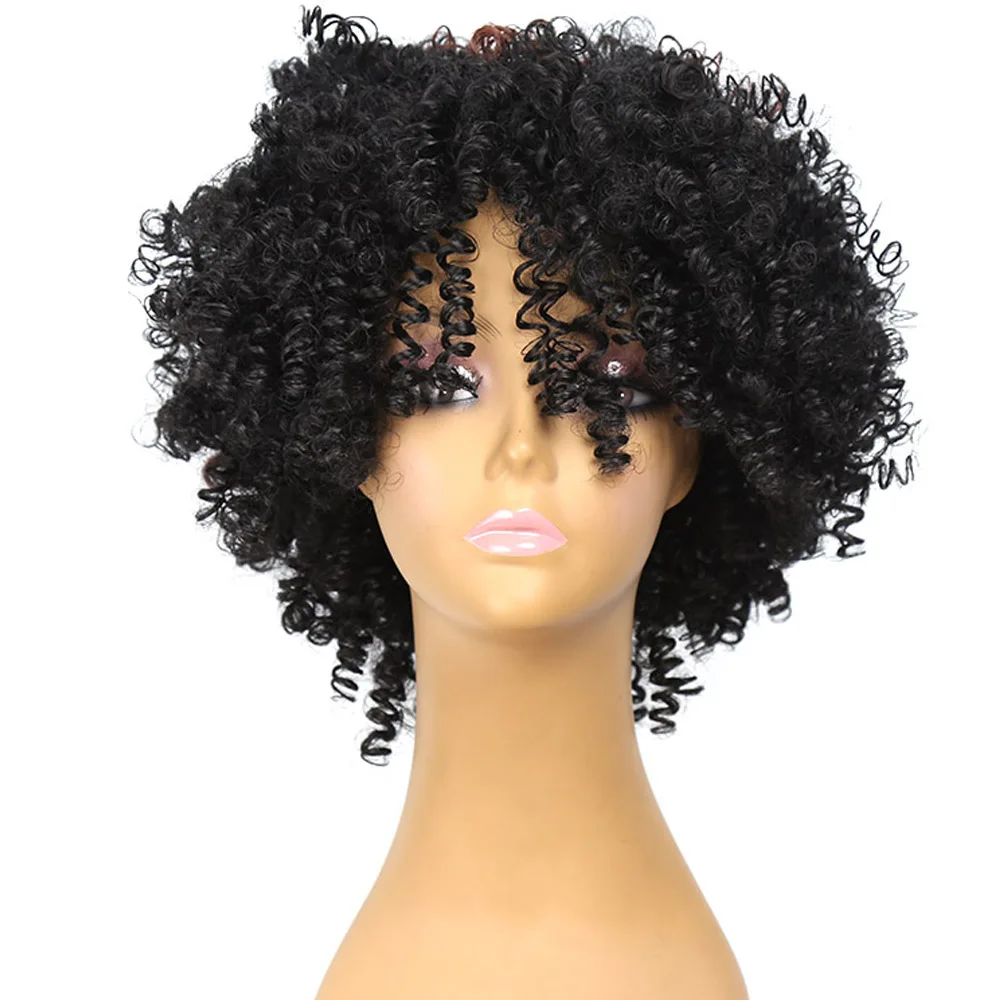 Amir Hair Cheap Afro Kinky Curly Synthetic Wig With Bangs Synthetic 