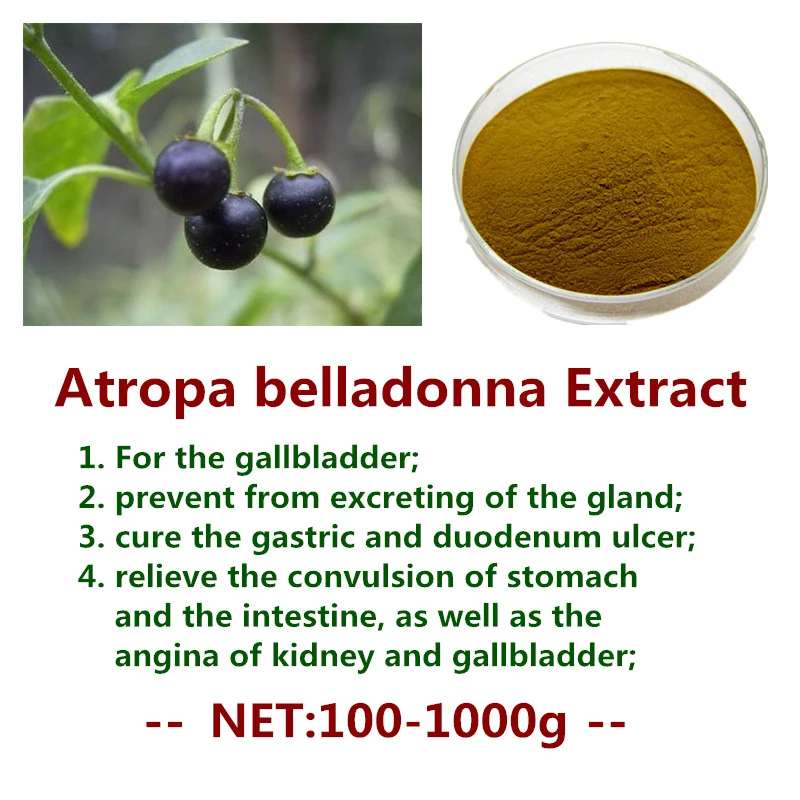 

100-1000g,100% Natural Atropa Belladonna Extract Powder,Belladonna Liquid,Hyoscyamine,Anti-alkali for The Gallbladder