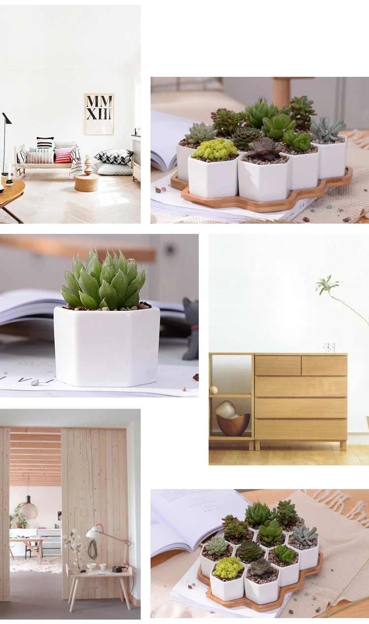 3814371633_675057837