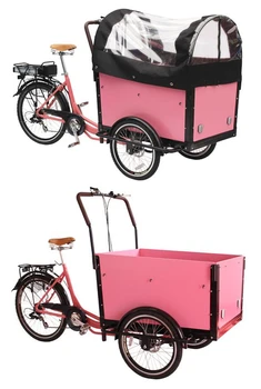 

Hot sale pedal fast food bike mobile trike carry children truck cargo delivery tricycle