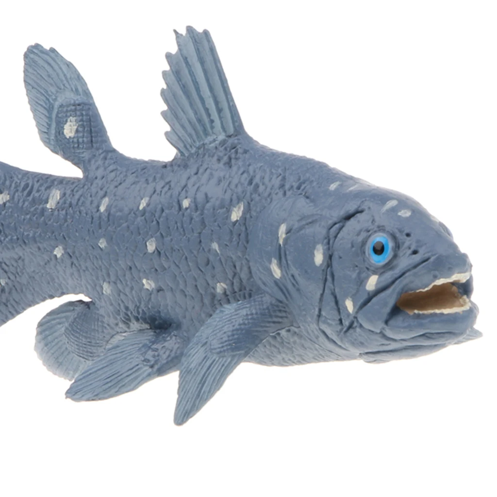 Realistic Marine Fish Model Figurines, 5 Inch Coelacanth Action Figure Toy for Kids, Science Educational Toy	