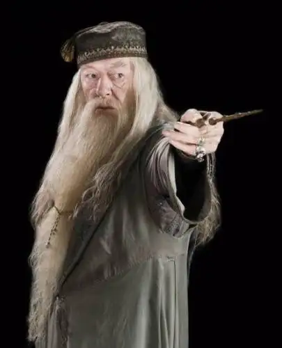 

Albus Dumbledore Cosplay Wig Mustache Beard Halloween Carnival Cosplay Prop