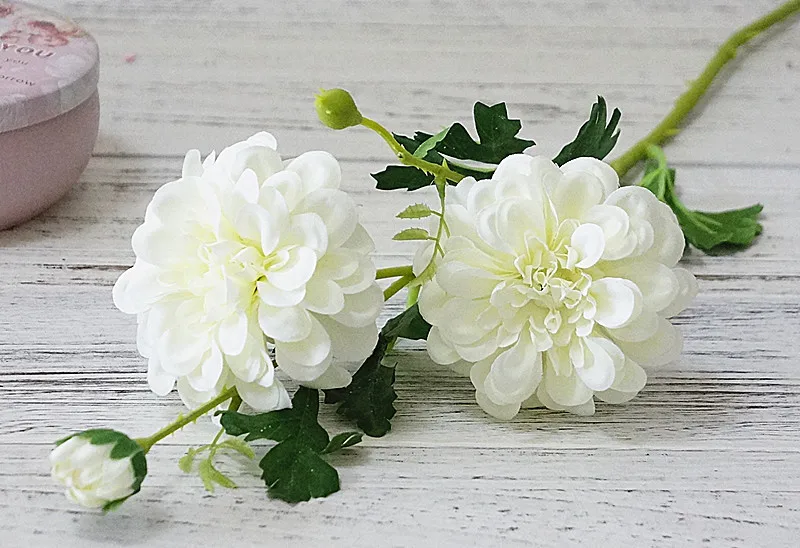 DSC04399.JPG