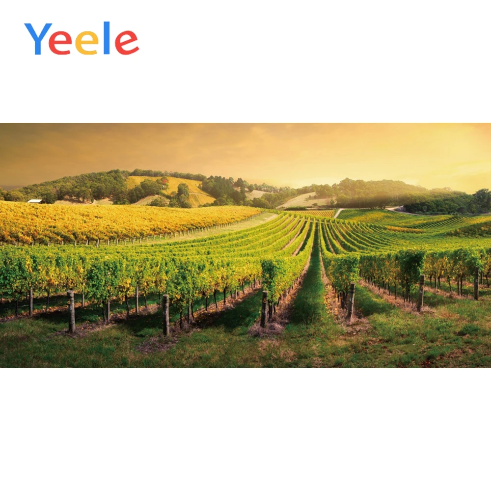

Yeele Beautiful Scenery Poster Baby Photography Background Banner Seamless Wall Scene Kid Photographic Backdrop For Photo Studio