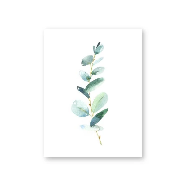 Эвкалиптовый акварельный принт цветочный лист растительный листья художественная живопись на холсте зеленые дикие плакаты домашний декор для стен - Цвет: PH2361