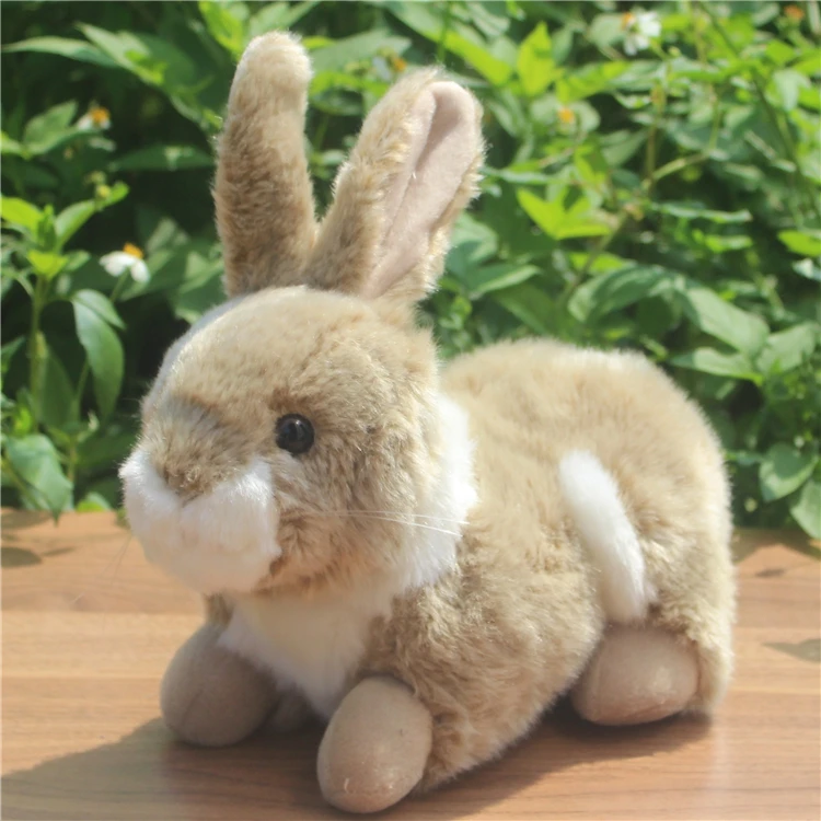 rabbit toy store