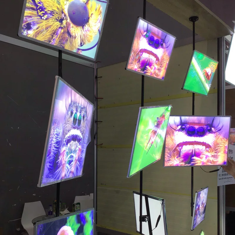 lightbox display hanging