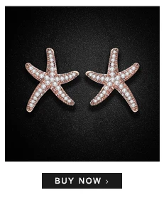 --925-Silver-Earrings_01_06