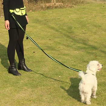 

Original Reflective Walking Running Dog Leash Harness Set Hands Free Dog Leash Collar for Puppy Dog Harness Leash Pet Supplies