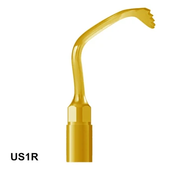 

Right Angle Ultrasurgery Tip 1PCS US1R Tooth Care For MECTRON And WOODPECKER Piezosurgery Equipment Perfect Smile Veneers Tools