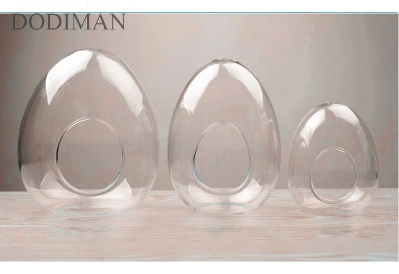 1 шт. креативные стеклянные бутылки в форме яйца стеклянная ваза гидропонная мясистая микро-ландшафтное стекло бутылка мох украшение дома