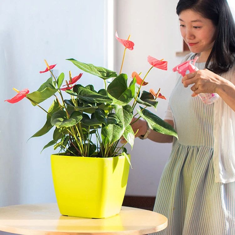 Export Germany automatic water storage pots high-grade paint flowers lazy basin | Дом и сад