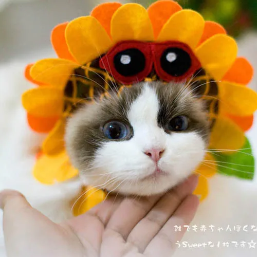 

Popular Items Cute Dog Cats Hats Sunflower Pets Cosplay Cap Headwear Costume for Party