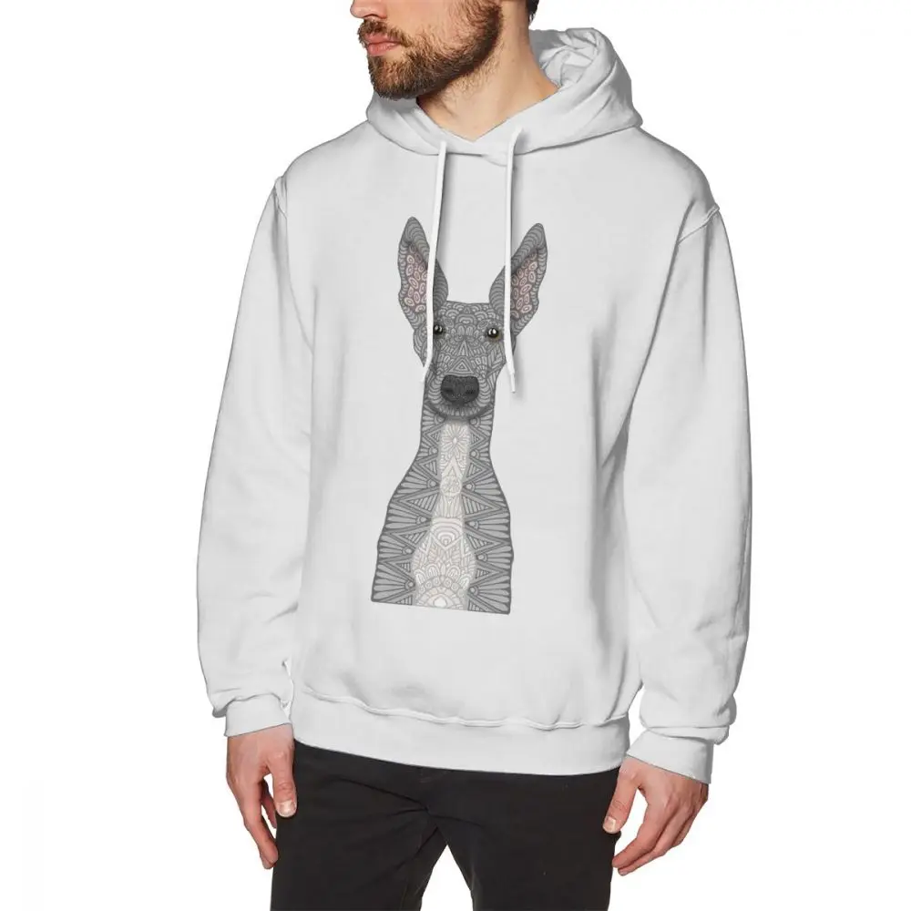 

Crewneck Blue White Greyhound Long Sleeve Casual Custom For Boy
