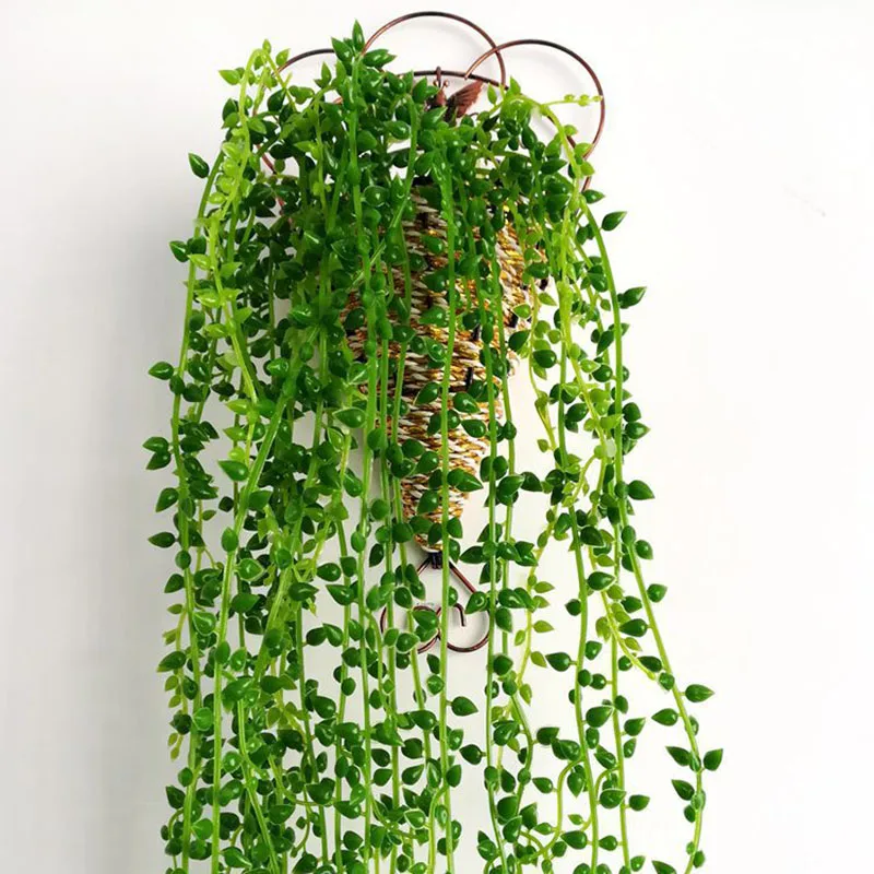 緑色植物人工恋人涙多肉植物壁掛け偽花つる結婚式模造装飾花 Artificial Dried Flowers Aliexpress 緑色植物人工恋人涙多肉植物壁掛け偽花つる結婚式模造装飾花 Artificial Dried Flowers Aliexpress