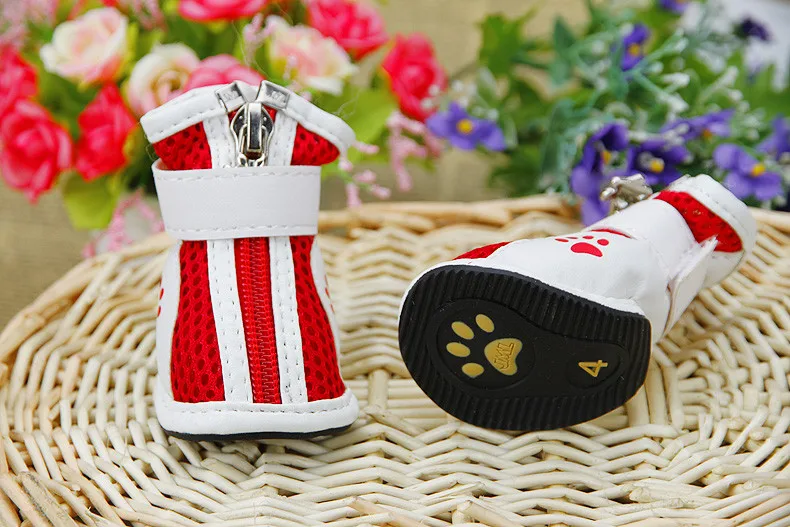 running shoes for pet (5)