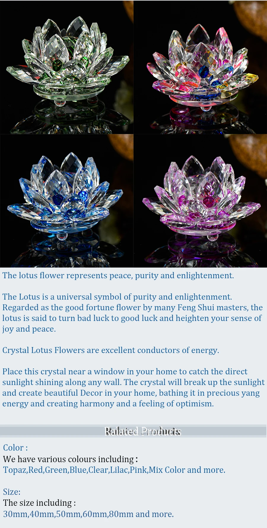 Lotus_03
