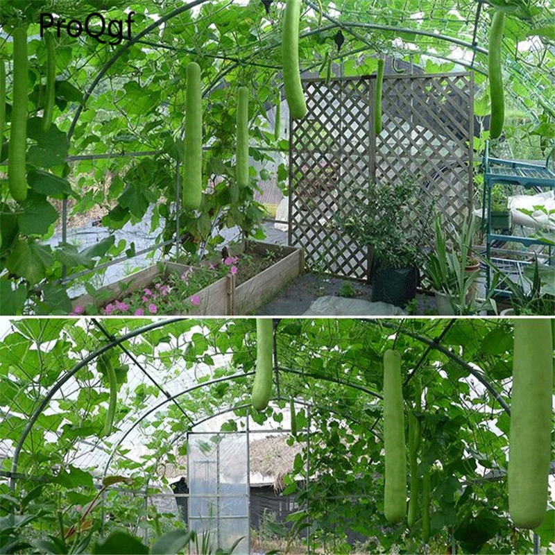 

1Pcs A Set Growing Tent For Succulent 400*200*200cm