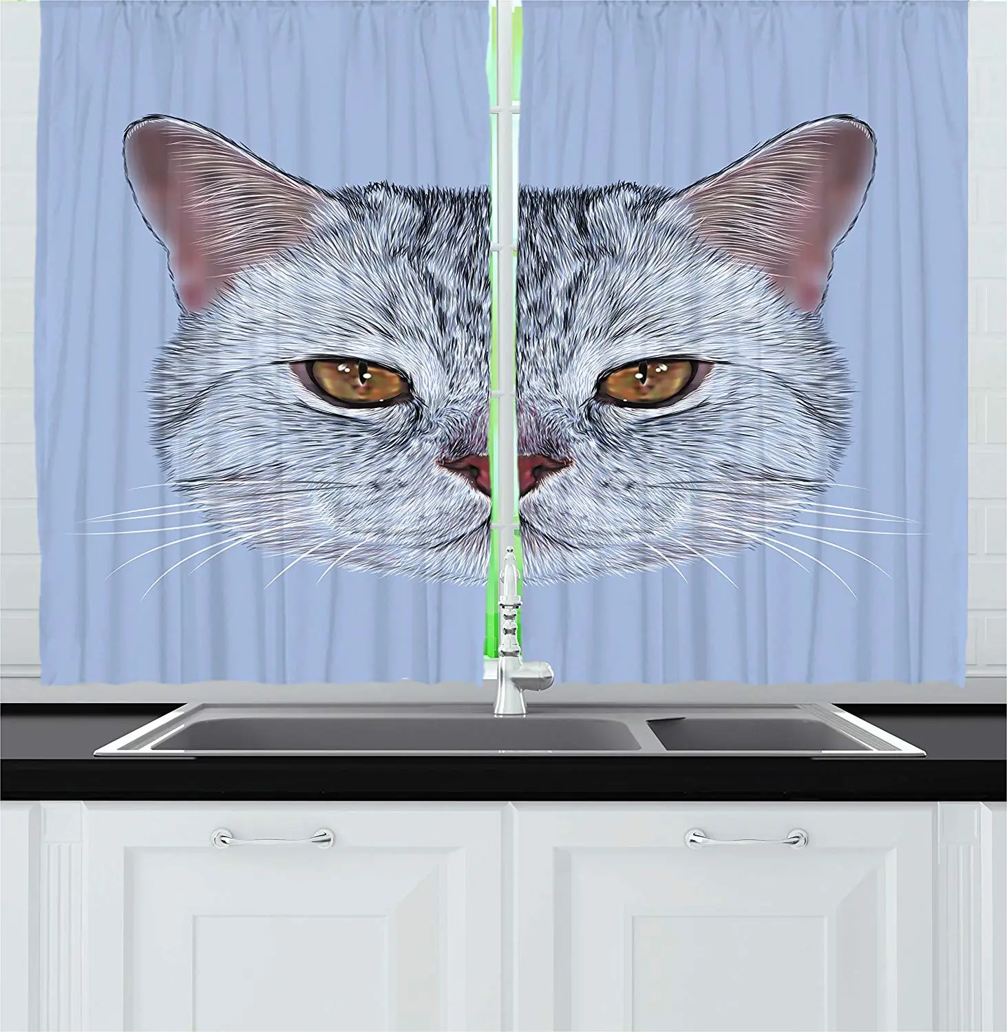 Кошка кухня шторы шотландский прямой котенок портрет любимчика прекрасный