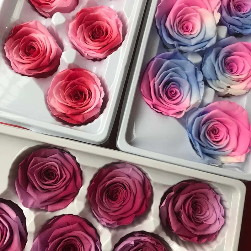 5 6 см головка сохраненная роза с градиентом цвета Красавица и Чудовище Forever Roses