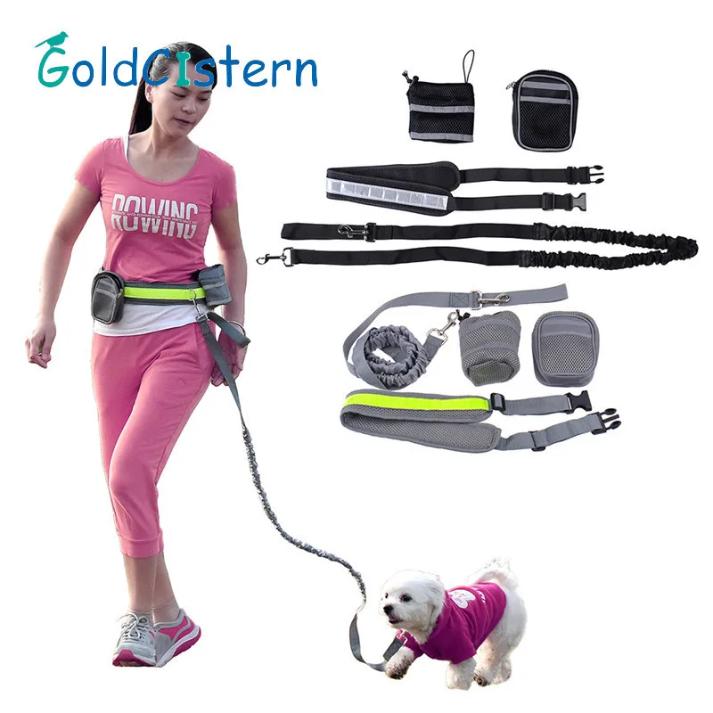 Dog Puppy Running Jogging Walking Hands Free Dog Collar Leashes with