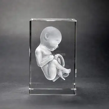 

3D Laser human Baby Fetus with Umbilical Cord Obstetric skeleton anatomical Crystal Skull Male member traumatic pistol medical