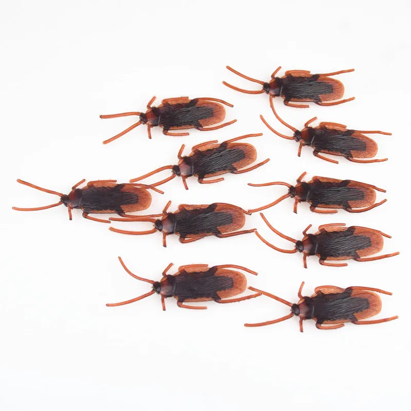 4418701114_805265677