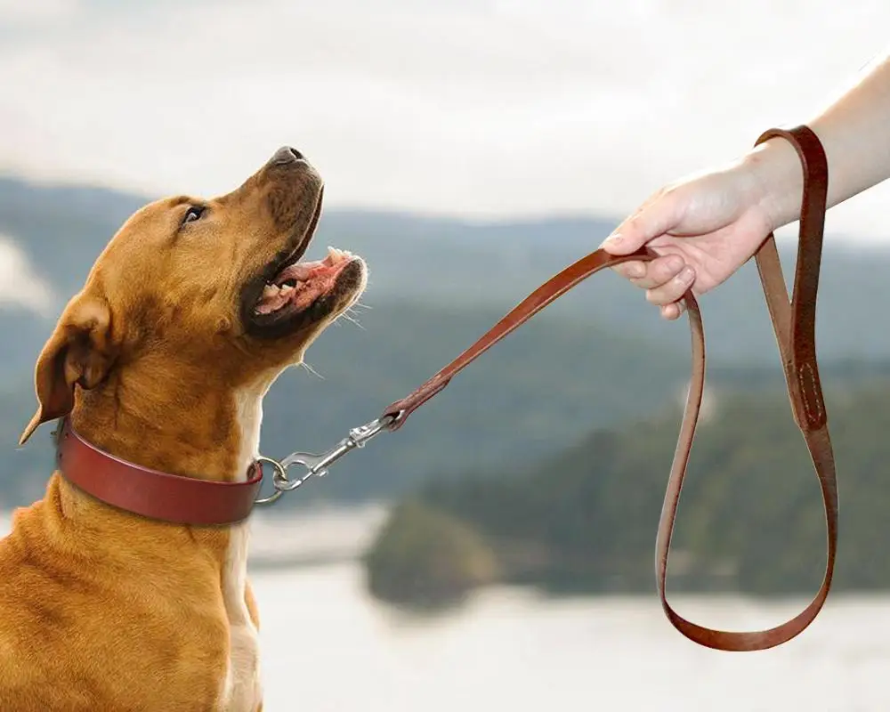 para cães médios e grandes, peça de