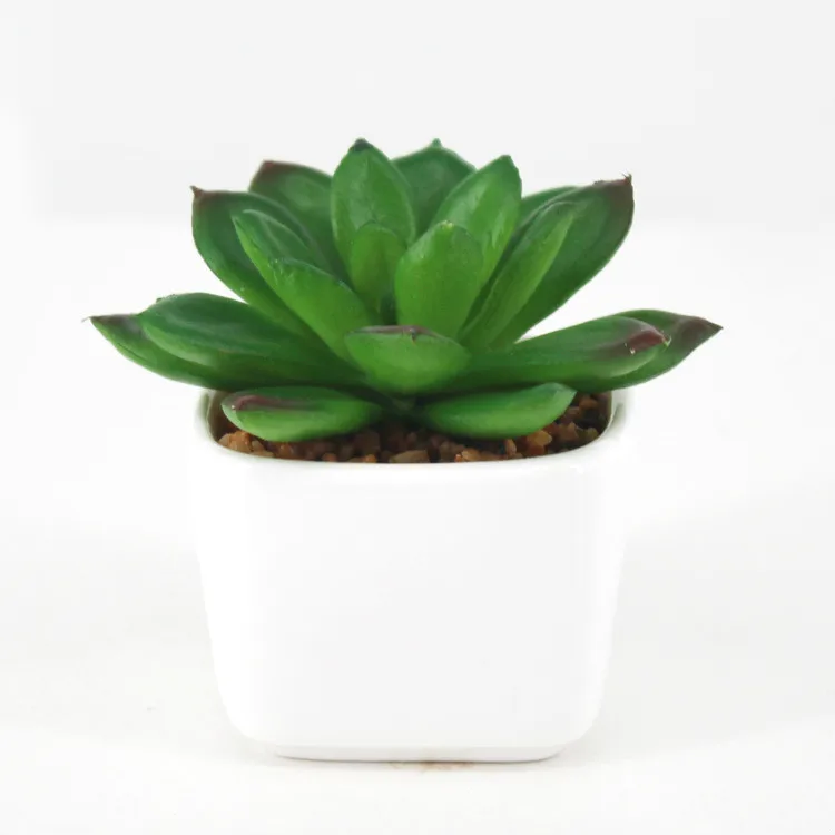 Искусственные суккуленты бонсай искусственное украшение|plants home decor|succulents