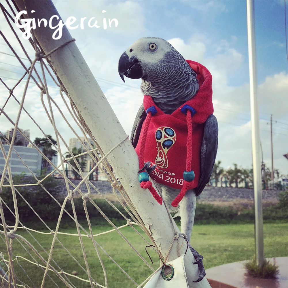 Ropa de pájaro de jengibre ropa de loro fútbol original hecho a mano ropa  de pájaro con capucha suéter de fútbol - AliExpress Hogar y jardín